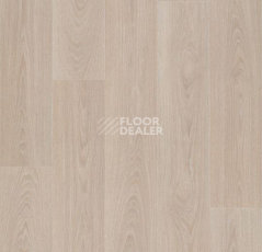 Линолеум Forbo Eternal Wood 13922 bleached timber фото 1 | FLOORDEALER